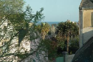 Villas Grande maison en plein coeur du bourg au calme avec jardin clos, commerces port et plage a pied : photos des chambres