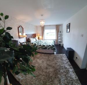 St Martins Old Schoolhouse Ballyroe Tralee