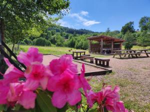 Appartements Le Moulin de la Fortie, Gites et ecolodge : photos des chambres