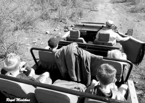 Wonderboom gate Madikwe Game Reserve Madikwe, 2874, South Africa.