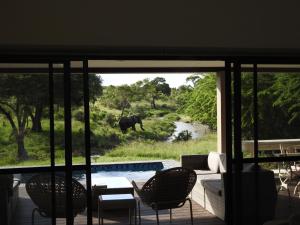 Barn Owl Lodge, Mjejane Game Reserve, Greater Kruger Park