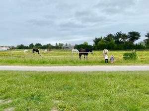 Maisons de vacances La Fleur des Marais - 3 chambres & jardin 400m2 : photos des chambres