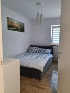 Apartament w sosnowym lesie