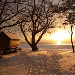 Roots inawashiro Lake Area - Joko