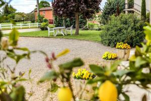 Appartements JOLI APPARTEMENT - PISCINE - 68m2 - GAILLAC : photos des chambres