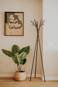 Mares - Coral - 4hvězdičkové hotely ve městě Torre del Mar