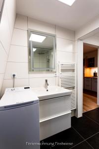 FESTWIESE - modernes Apartment nahe Neustadter Innenstadt