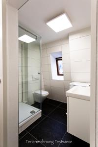 FESTWIESE - modernes Apartment nahe Neustadter Innenstadt