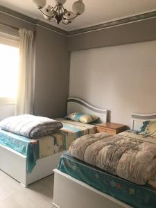 Nasr city COZY Studio 2 bedrooms & 2 bathrooms