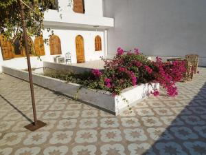 Gabawy Garden Doppelzimmer