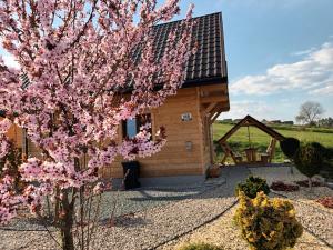 Motylowe Wzgórze Zawóz Bieszczady