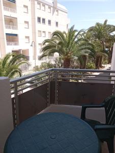 Studio Apartment room in Kione Las Margaritas
