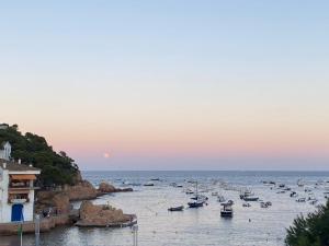 Beautiful beachfront apartment in Tamariu