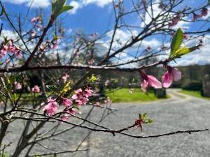 Sejours a la campagne Gite Clos Robin : photos des chambres