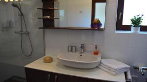 Spacious poolside villa with beautiful garden in Kringa