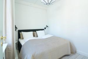 Spacious Flat Centrally Located in CPHs Old Town