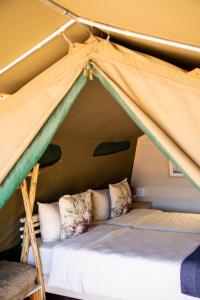 Twyfelfontein Adventure Camp