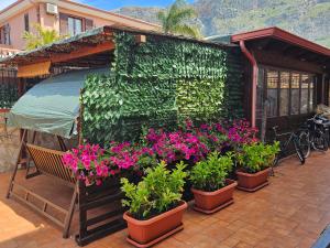 La Dependance delle Mimose