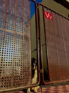 Acogedor apartamento Verodes de una habitación.