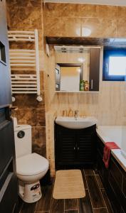 Carlas Studio Central Palas - shuttle