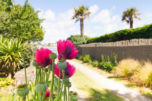 Appartements Villa Prat Bras - Studio Cocooning : photos des chambres