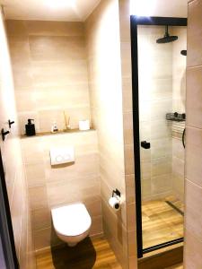 Base Camp Chamonix Vue Mont Blanc Centre Ville