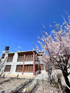 Zambala guest house