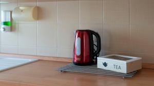 Gabbiani - Cala Gonone img21