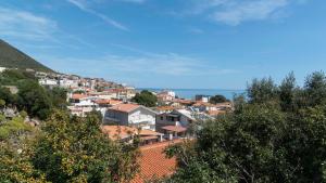 Gabbiani - Cala Gonone img38