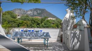 Gabbiani - Cala Gonone img64