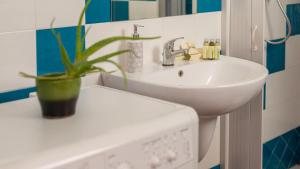 Gabbiani - Cala Gonone img58