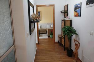 Cozy central apartment