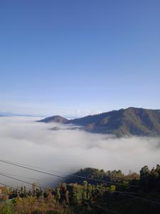 Himalayan View Homestay Nathuakhan