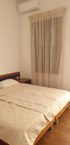 Single Room room in Pia Rooms