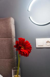 Michail Suite Chania δίπλα στην παραλία της πόλης