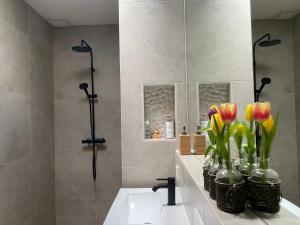 Apartment Osso 1, Arnhem