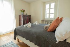 Villa Del Martello Piemonte with pool!