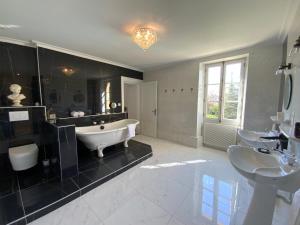 B&B / Chambres d'hotes Chateau d'Argentonesse : photos des chambres