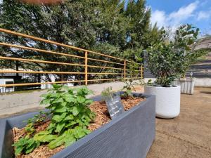 Appartements Loft avec grande terrasse et parking, proche Lyon Cite Internationale : photos des chambres