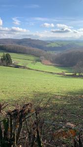 Maisons de vacances la Fleur Sauvage - Romantic holiday cottage Morvan : photos des chambres