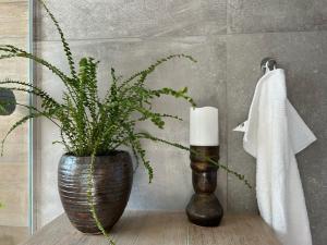 Art Guesthouse Olla