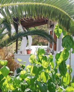 Mavrikou Helen Apartments