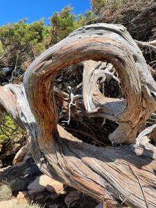 Piccolo paradiso img14