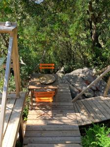 Corsica Natura #2