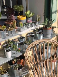 Villa - ToulonLa Mitre - plages à pied - 9 couchages