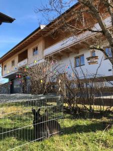 Schrolln Appartements
