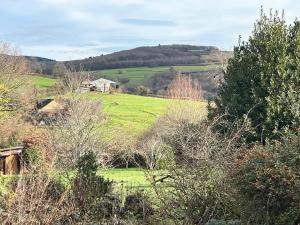 Maisons de vacances la Fleur Sauvage - Romantic holiday cottage Morvan : photos des chambres