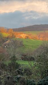 Maisons de vacances la Fleur Sauvage - Romantic holiday cottage Morvan : photos des chambres