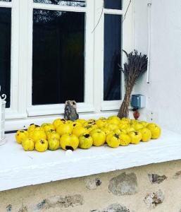 Maisons de vacances la Fleur Sauvage - Romantic holiday cottage Morvan : photos des chambres