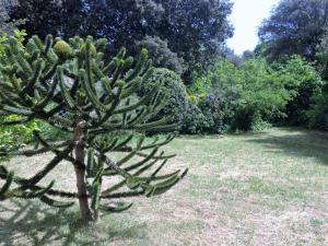 Maisons de vacances L Oceane proche mer et foret : photos des chambres